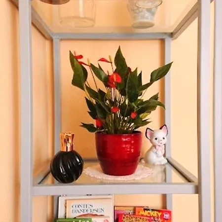 Apartment With One Bedroom In Arles-sur-tech, With Wonderful Mountain View And Wifi Arles-sur-Tech