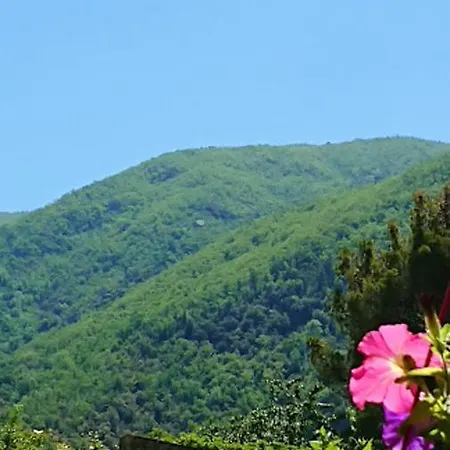 With One Bedroom In Arles-sur-tech, With Wonderful Mountain View And Wifi Apartment