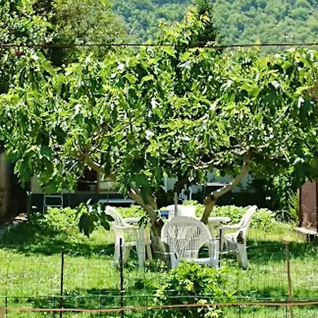 With One Bedroom In Arles-sur-tech, With Wonderful Mountain View And Wifi *